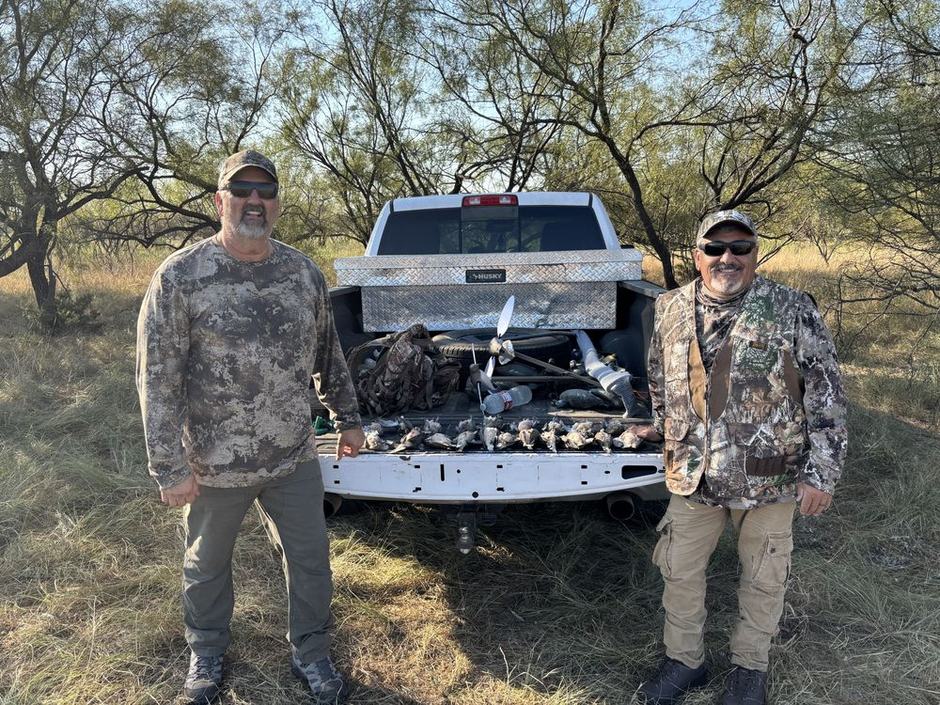 North Texas Dove Hunting