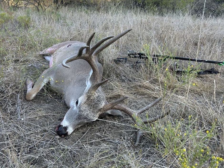 Low-Fence Whitetail Hunting at Mesa Valley Outdoors