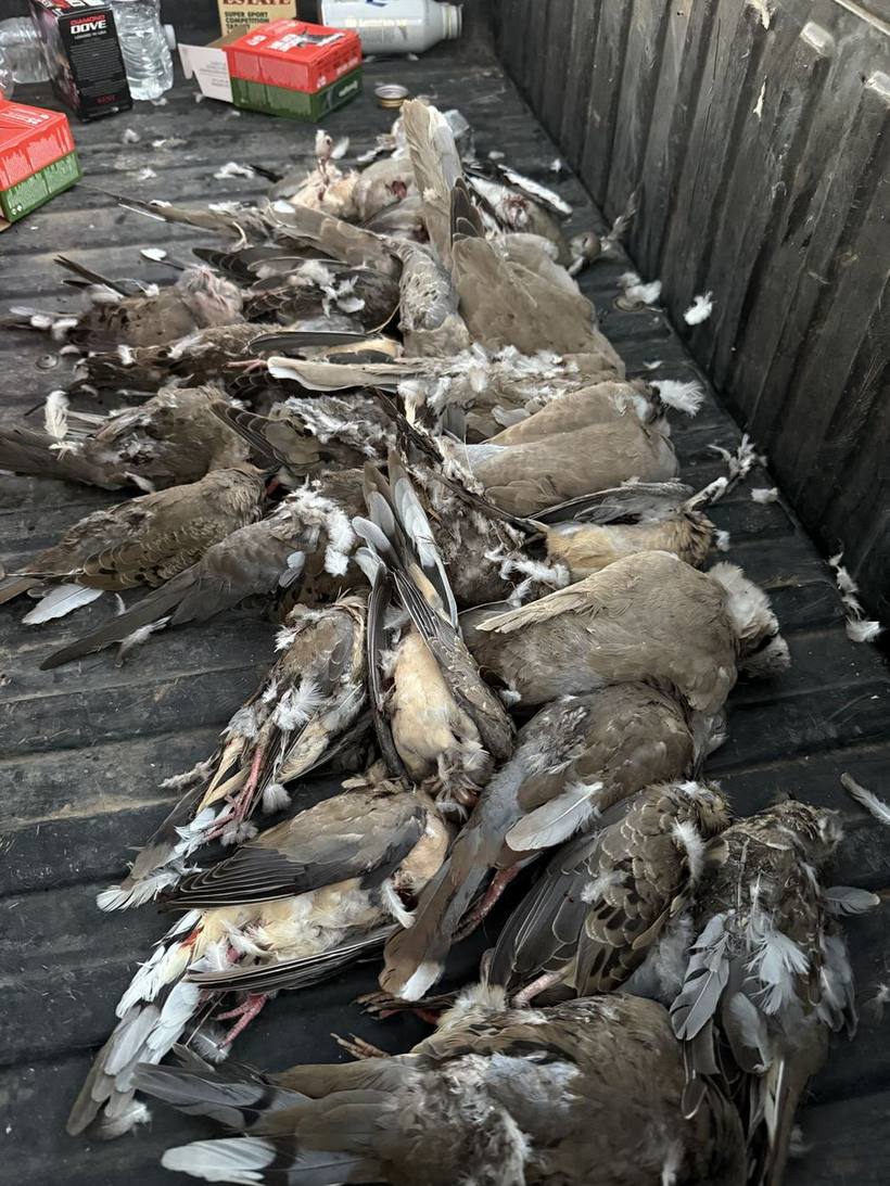 Mesa Valley Outdoors hunt in North Texas
