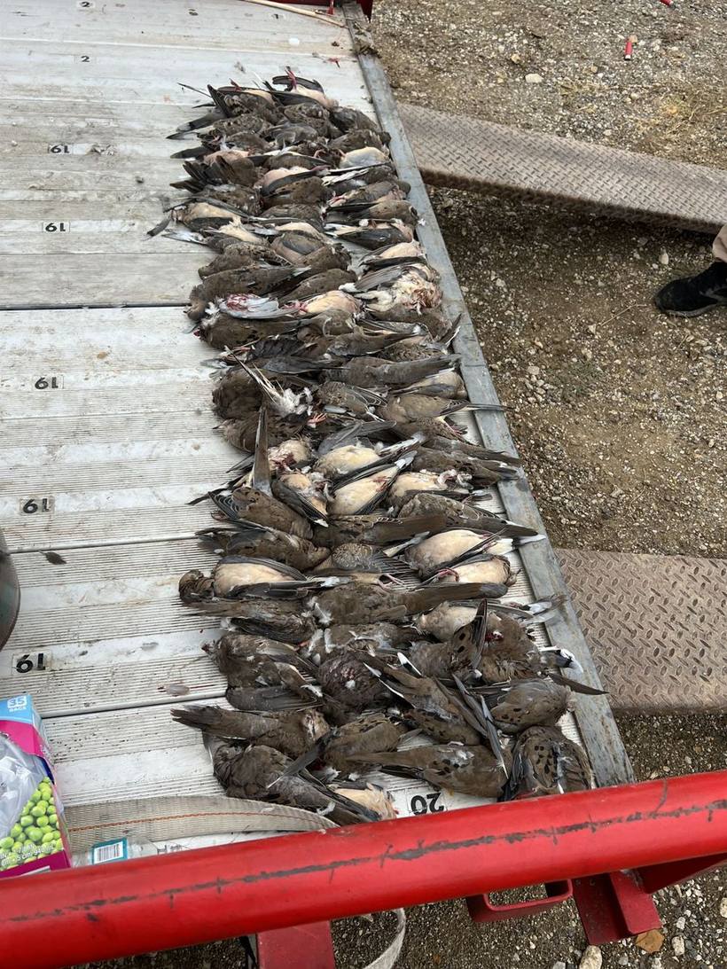 Mesa Valley Outdoors hunt in North Texas