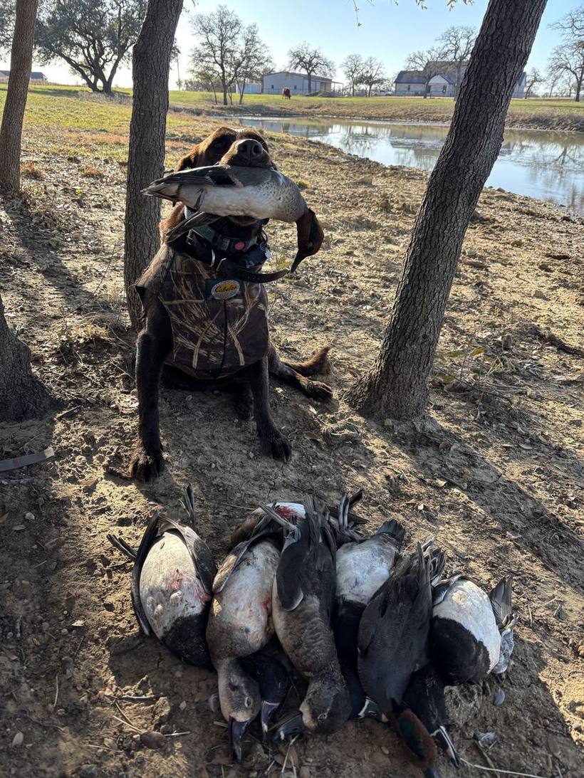 Mesa Valley Outdoors hunt in North Texas