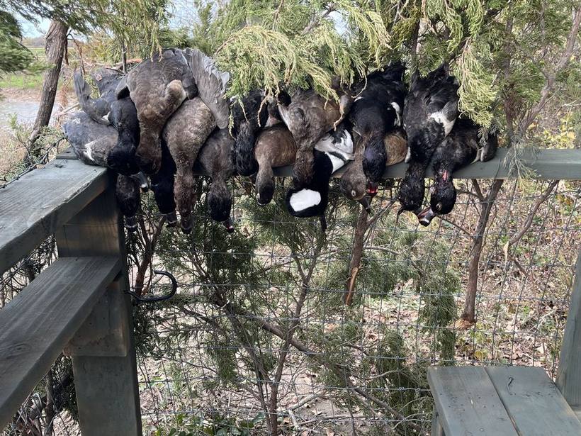 Mesa Valley Outdoors hunt in North Texas