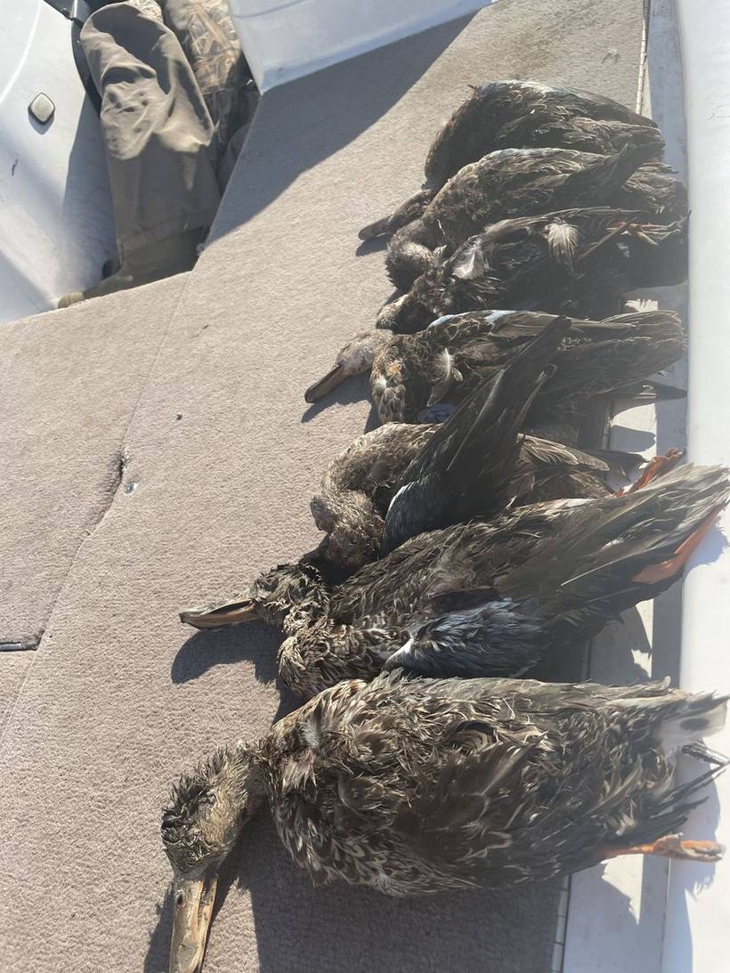 Mesa Valley Outdoors hunt in North Texas