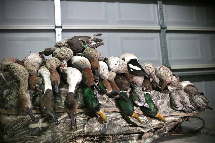 Mesa Valley Outdoors hunt in North Texas