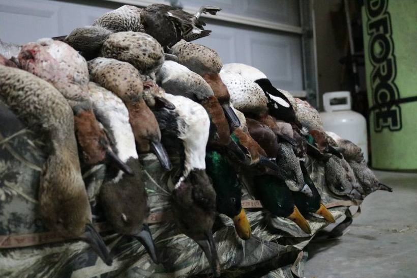 Mesa Valley Outdoors hunt in North Texas