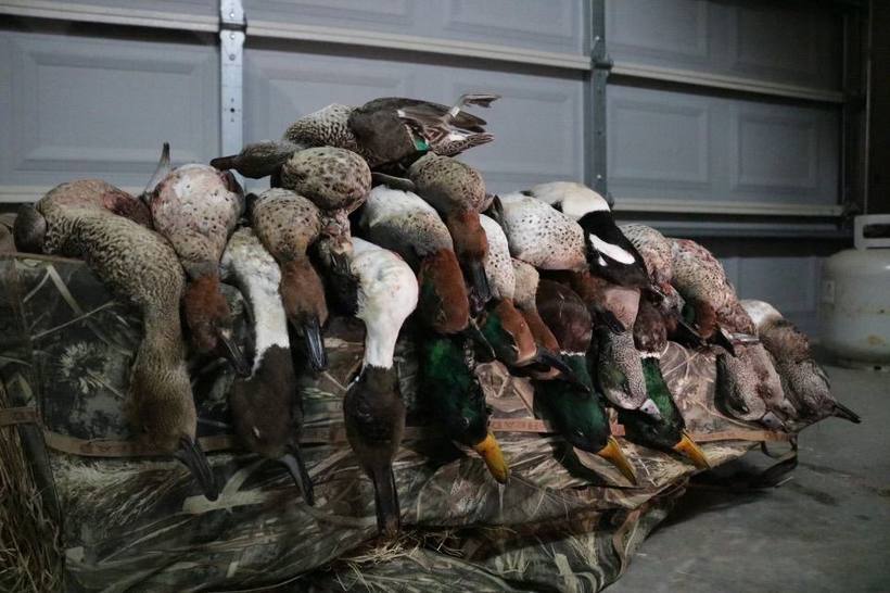 Mesa Valley Outdoors hunt in North Texas